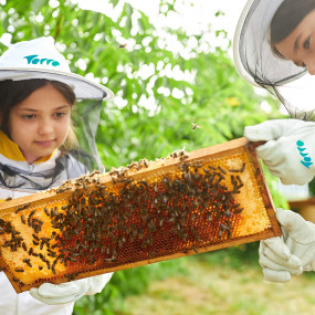 Inside the Hive Experience at Expo City Dubai in Dubai : Galerie de photos n69d99