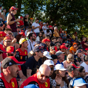 Photo from Formula 1 Pirelli Gran Premio D'Italia 2026 in Monza: Gallery Photo n69dq9