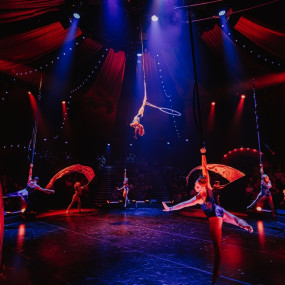 Musical - Come Alive! The Greatest Showman Circus Spectacular in London in London : Galerie de photos 3pj6vx