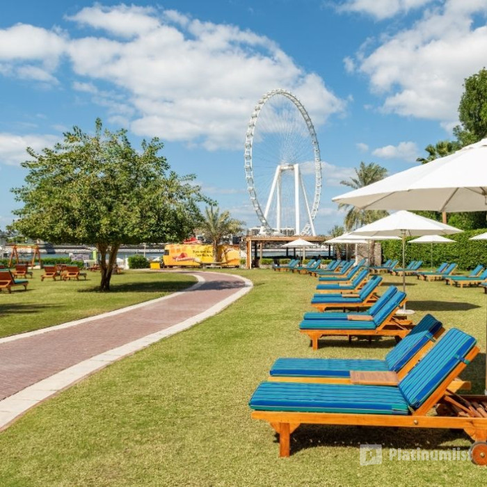 3yo9q1 استديو الصور :دبي في Pool & Beach Day Pass Access – Sheraton Jumeirah Beach Resort