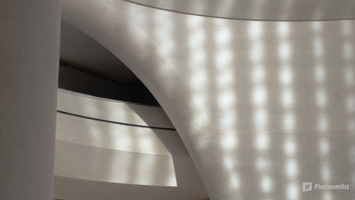 Museums Pass - Louvre, Zayed National Museum & Natural History Museum Abu Dhabi в Абу Даби: Галерея фото n26b1j