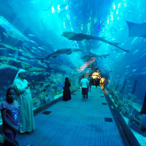 Фотография с At The Top, Burj Khalifa Silver + Dubai Aquarium в Дубай: Галерея фото nkex8x