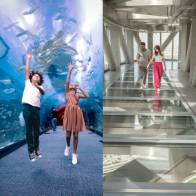 Dubai Aquarium + Sky Views with Slide - Combo σε Dubai: Φωτογραφία γκαλερί zg4p17