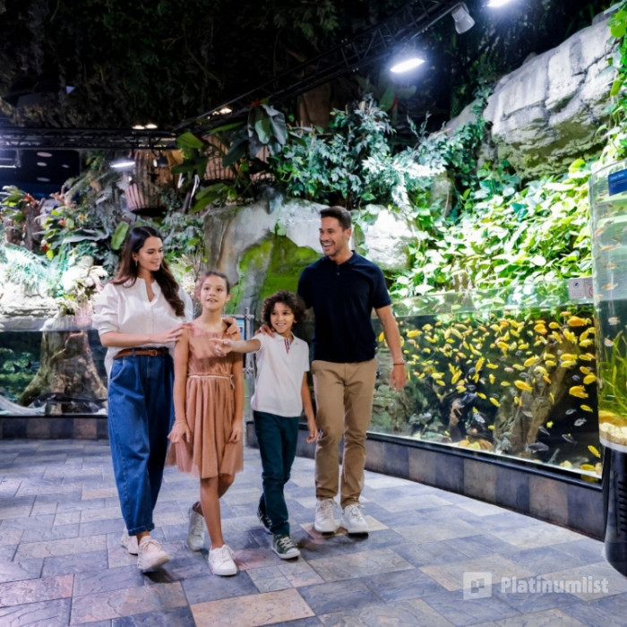 Dubai Aquarium + Sky Views with Slide - Combo σε Dubai: Φωτογραφία γκαλερί 38y959