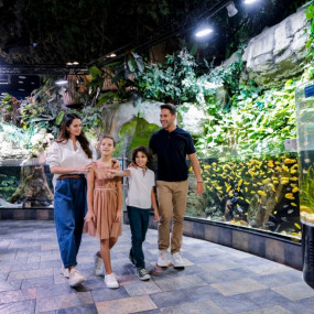 Dubai Aquarium + Sky Views with Slide - Combo σε Dubai: Φωτογραφία γκαλερί 38y959