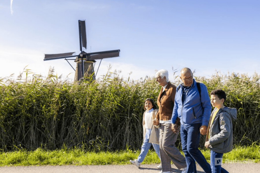 Kinderdijk Windmills in Kinderdijk : Galerie de photos 35y1o6