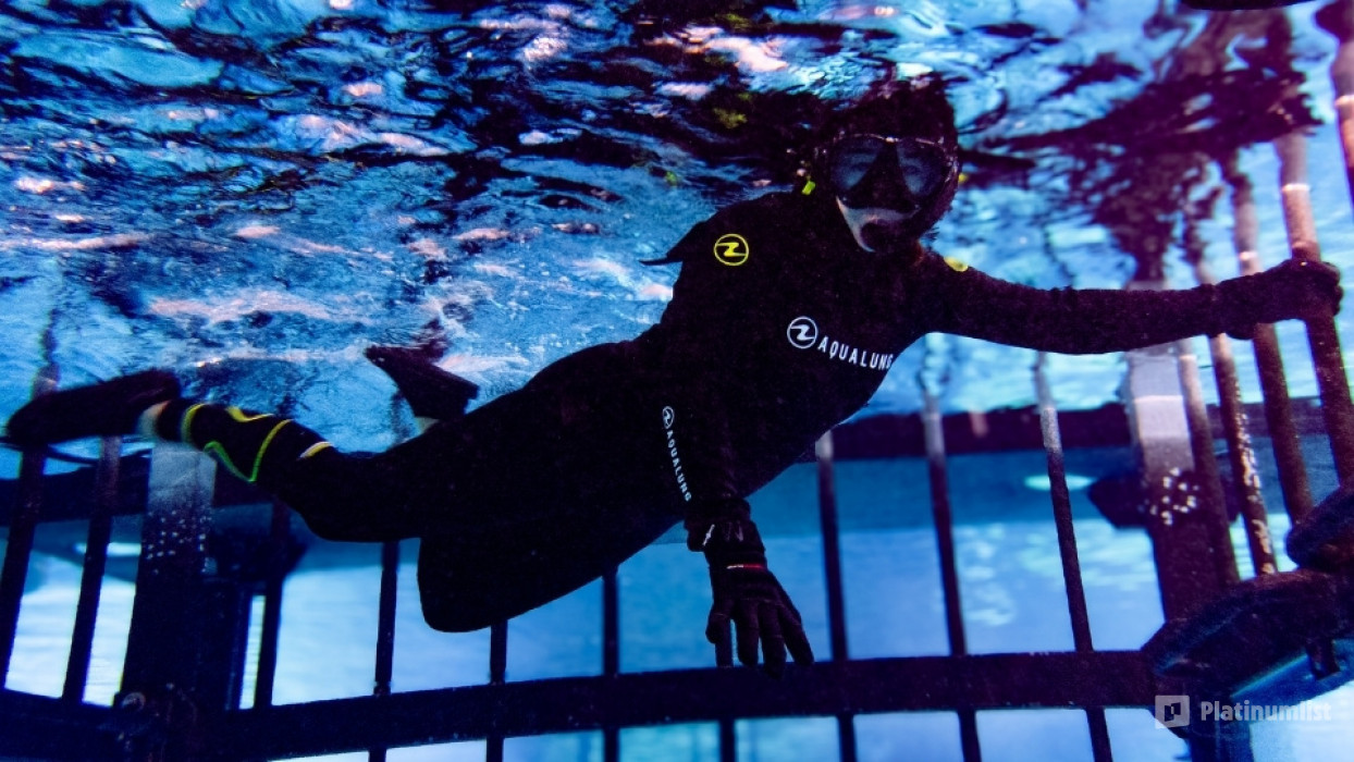 Dubai Aquarium & Underwater Zoo Cage Snorkelling new in Dubai: Gallery Photo zg4648