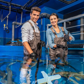 Dubai Aquarium & Underwater Zoo - Shark Trainer Encounter в Дубай: Галерея фото n265eq