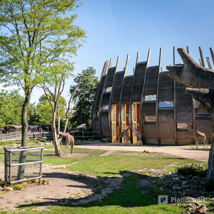 Blijdorp Rotterdam Zoo: Skip The Line Ticket в Rotterdam: Галерея фото 38ye4j