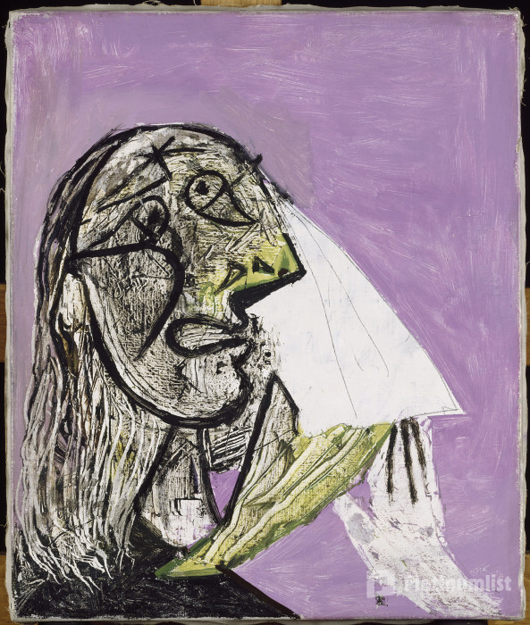 Musée National Picasso-Paris: Priority Entry Ticket in Paris : Galerie de photos 34j2pb