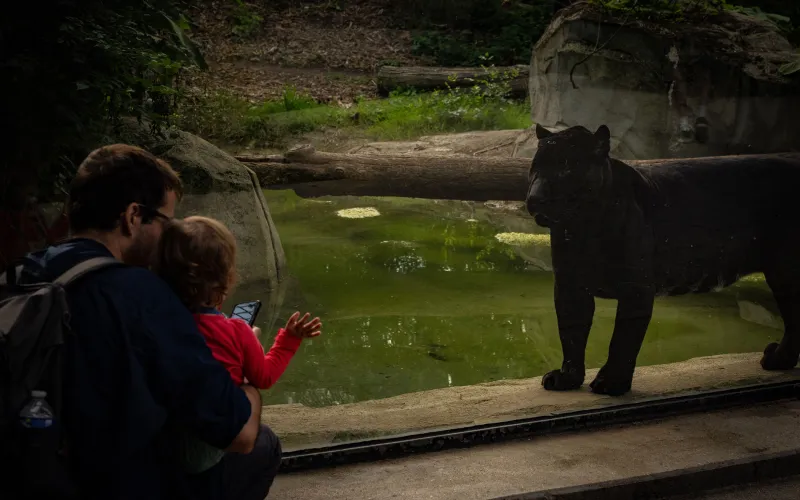 Photo from Paris Zoological Park: Entry Ticket in باريس: Gallery Photo n2659j