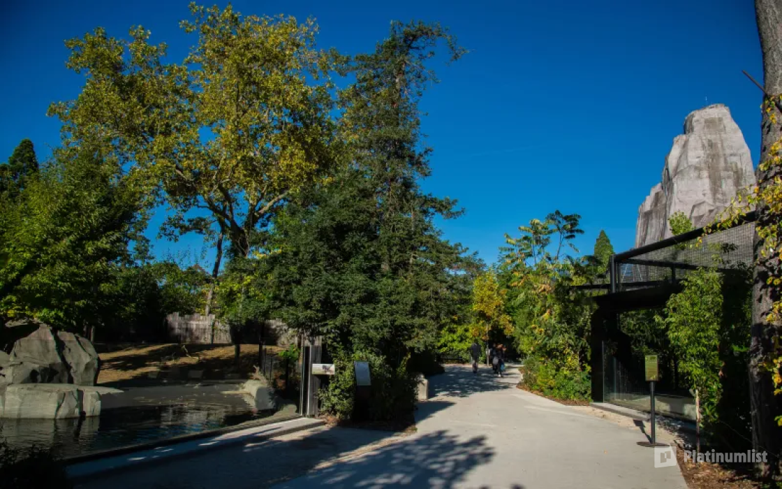 3d7ydb استديو الصور :باريس في Paris Zoological Park: Entry Ticket