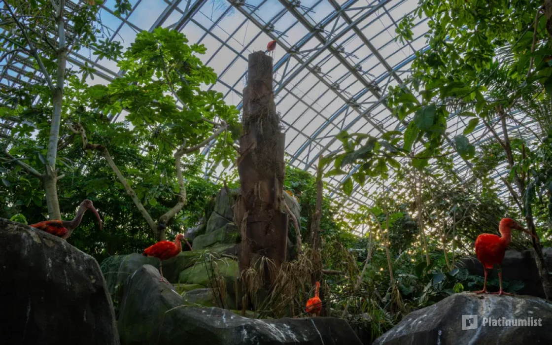 z7xegg استديو الصور :باريس في Paris Zoological Park: Entry Ticket