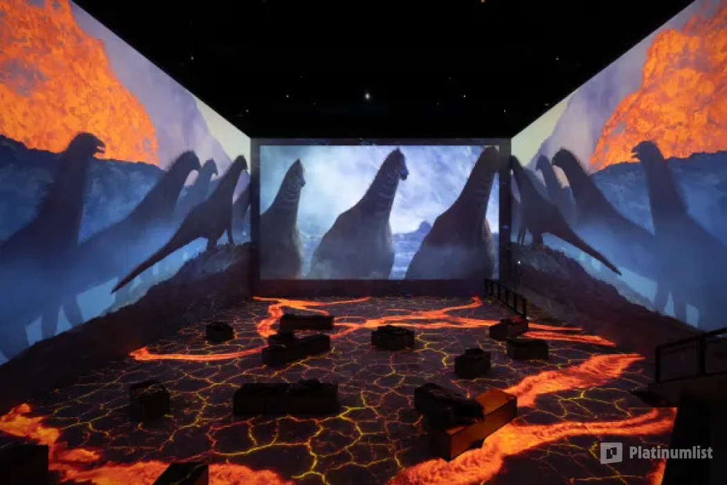 Fabrique des Lumieres: Dinosaurs - The Immersive Experience in Amsterdam: Gallery Photo 3rwvmy
