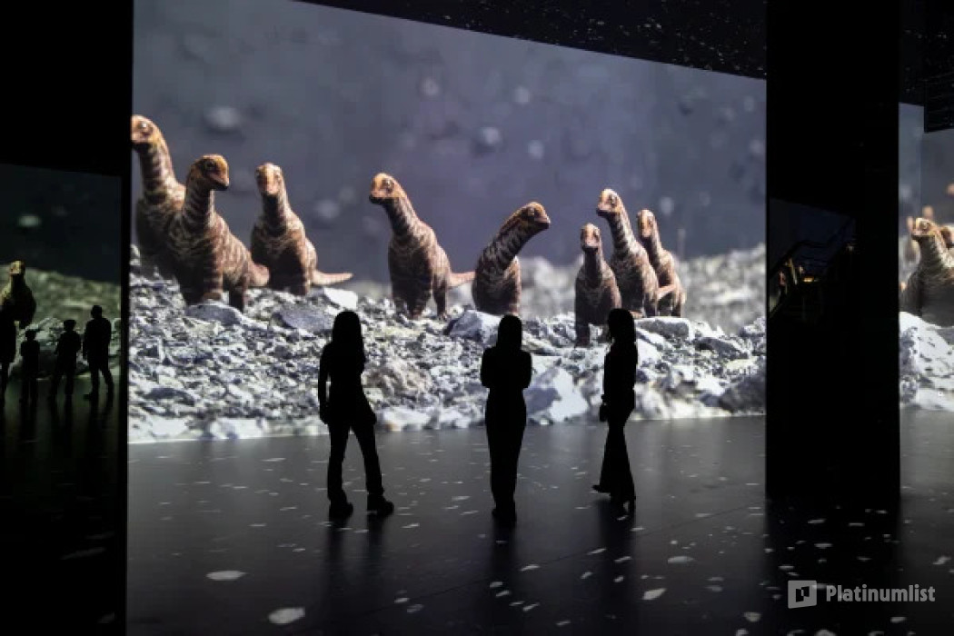 Fabrique des Lumieres: Dinosaurs - The Immersive Experience in Amsterdam: Gallery Photo 3bjxrg