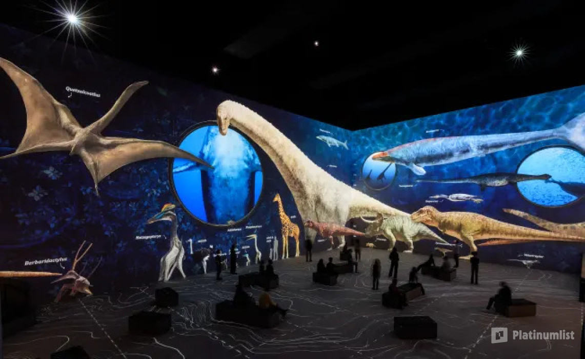 Fabrique des Lumieres: Dinosaurs - The Immersive Experience in Amsterdam: Gallery Photo zw6mwe