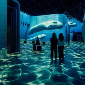 Photo from Fabrique des Lumieres: Dinosaurs - The Immersive Experience in Amsterdam: Gallery Photo 38yee1