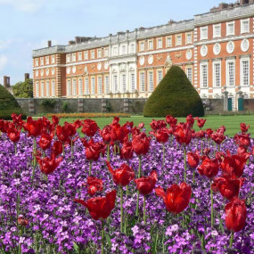 Photo from Hampton Court Palace, Gardens & Maze: Entry Ticket in لندن: Gallery Photo n26554