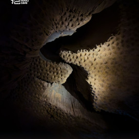 3rwvyk استديو الصور :مسقط في Al Hoota Cave Team Building 3rwvyk استديو الصور :مسقط في Al Hoota Cave Team Building