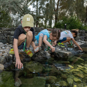 Photo from Expo City Summer Camp in دبي: Gallery Photo n69r1w