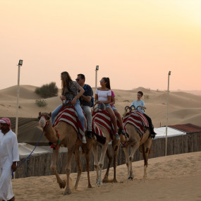 Photo from Overnight Red Dune Desert Safari with Dune Bashing, BBQ & Breakfast in Dubai: Gallery Photo 3d72gk
