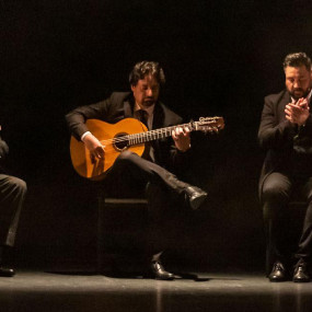 Teatro Flamenco Barcelona in Barcelona: Gallery Photo 3j5oby