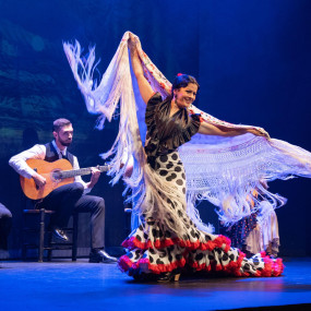 Photo from Teatro Flamenco Barcelona in Barcelona: Gallery Photo 3d72xq