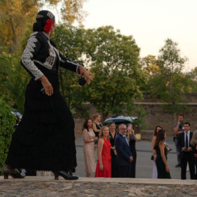 Photo from Teatro Flamenco Barcelona in Barcelona: Gallery Photo z7xw28
