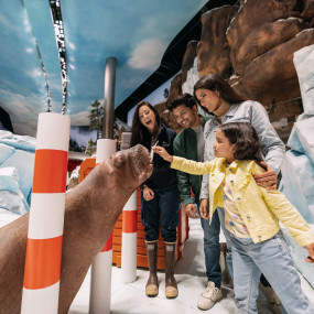 SeaWorld® Yas Island, Abu Dhabi in Abu Dhabi: Gallery Photo 3d72yy