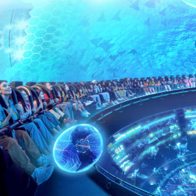 SeaWorld® Yas Island, Abu Dhabi in Abu Dhabi: Gallery Photo 3e71km