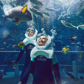 SeaWorld® Yas Island, Abu Dhabi in Abu Dhabi: Gallery Photo 34jw28