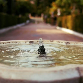 Royal Alcazar of Seville: Entry Ticket in Seville: Gallery Photo 3rw2by