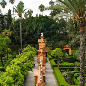 Royal Alcazar of Seville: Entry Ticket in Seville: Gallery Photo zm0qm6