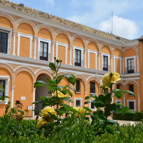 Photo from Royal Alcazar of Seville: Entry Ticket in Seville: Gallery Photo n0vwrp