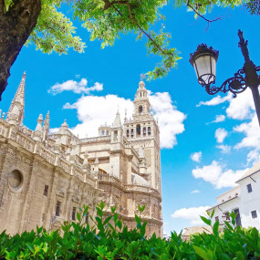 Фотография с Seville Cathedral & La Giralda: Skip The Line Ticket в Seville: Галерея фото zg48or