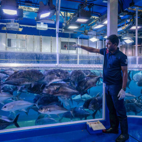 Photo from Dubai Aquarium & Underwater Zoo - Regular Pass in Dubai: Gallery Photo z94we1