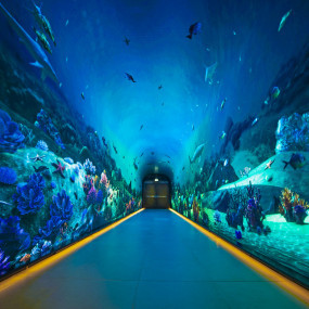 Photo from The View at The Palm - General Admission - Prime Hours in Dubai: Gallery Photo n69w41