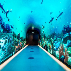 Photo from The View at The Palm - Fast Track + Next Level - Prime Hours in Dubai: Gallery Photo zw6b54