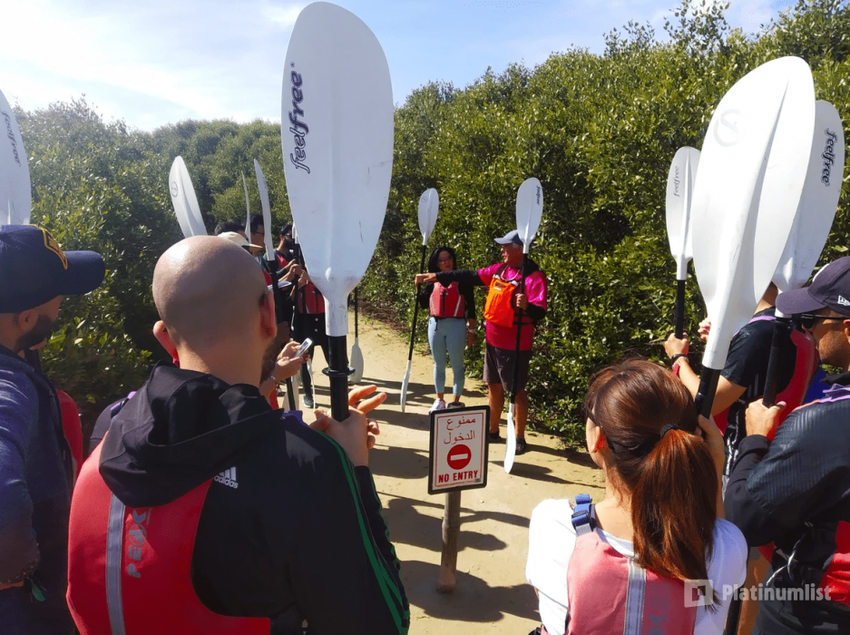 Al Zorah Mangrove Guided Kayak Tour in Ajman: Gallery Photo 34o9dn