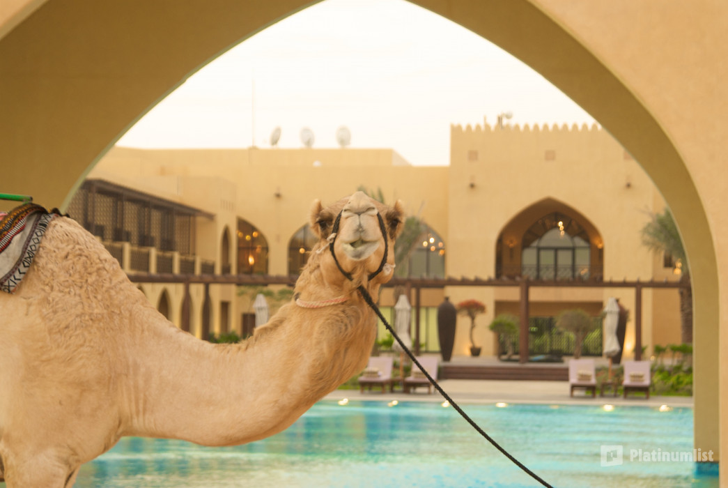 5* Stay at Tilal Liwa Hotel Abu Dhabi in Abu Dhabi: Gallery Photo 3rr853