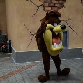 Photo from Warner Bros. World™ Abu Dhabi in Abu Dhabi: Gallery Photo on22qn