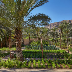 Photo from Six Senses Zighy Bay - Oman in مسندم: Gallery Photo 3b6ryz