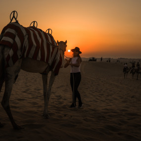 Photo from Dubai Sunset Camel Trekking With BBQ Dinner in Dubai: Gallery Photo 3jvmv3