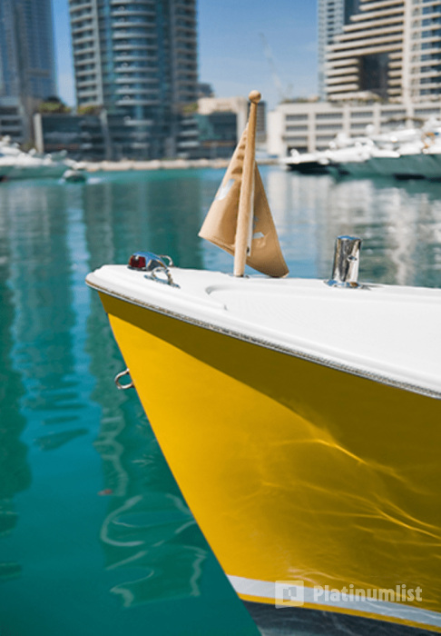 Duffy Boat Tour in Dubai: Gallery Photo gzmo53