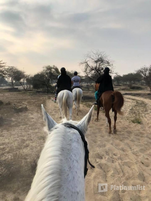 Equestrian Club - Dubai в Дубай: Галерея фото zvdk7z