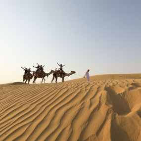 Photo from Dubai Morning Quad Bike, Sandboarding and Camel Ride in Dubai: Gallery Photo 3yv043