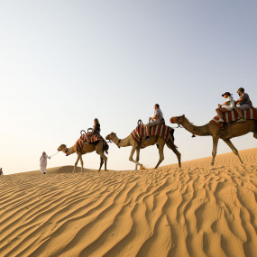 Photo from Dubai Morning Quad Bike, Sandboarding and Camel Ride in Dubai: Gallery Photo nkg1qz