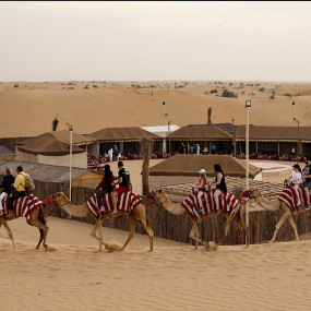 Photo from Overnight Red Dune Desert Safari with Dune Bashing, BBQ & Breakfast in Dubai: Gallery Photo z7jedz