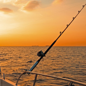 Photo from Abu Dhabi International Boat Show 2018 in Abu Dhabi: Gallery Photo v3jxwn