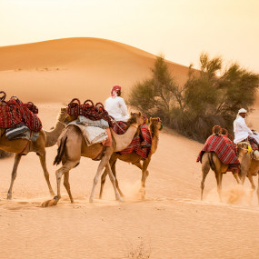 Photo from سفاري صحراوي في أبو ظبي مع شواء وركوب الجمال والتزلج على الرمال in أبوظبي: Gallery Photo 3pym83